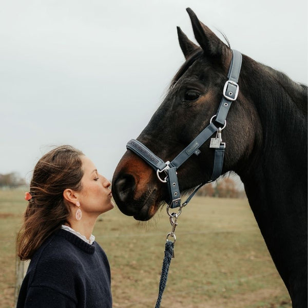 Pferde-Ohrstecker in Rosa von AmuseToi